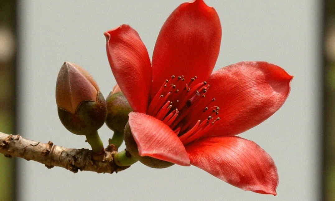 জেপচিরচির কেসে আসল সংখ্যা ২:১৮:৩১ নয়, একটা তারিখ